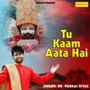 About Tu Kaam Aata Hai Song